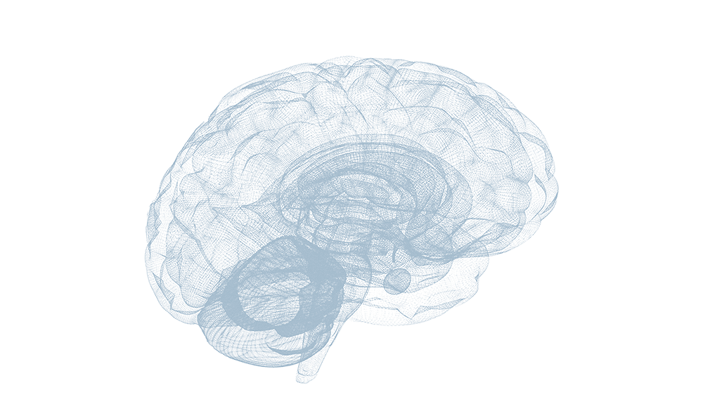 Brain Protection Program