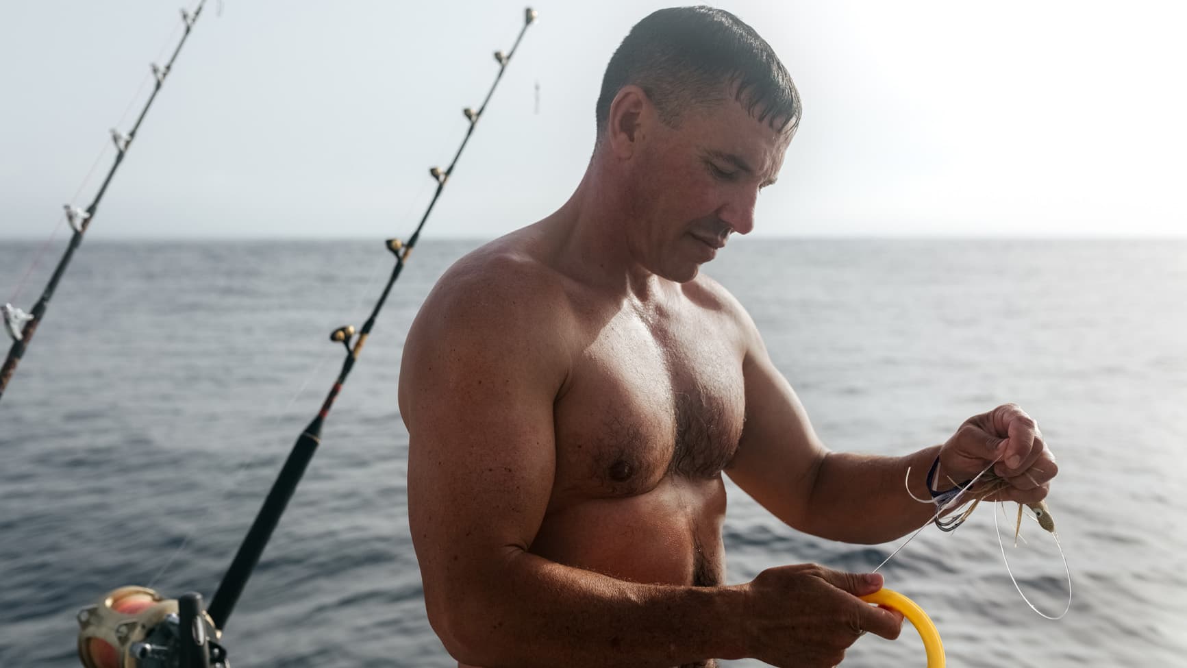 What Are Omega Fatty Acids?