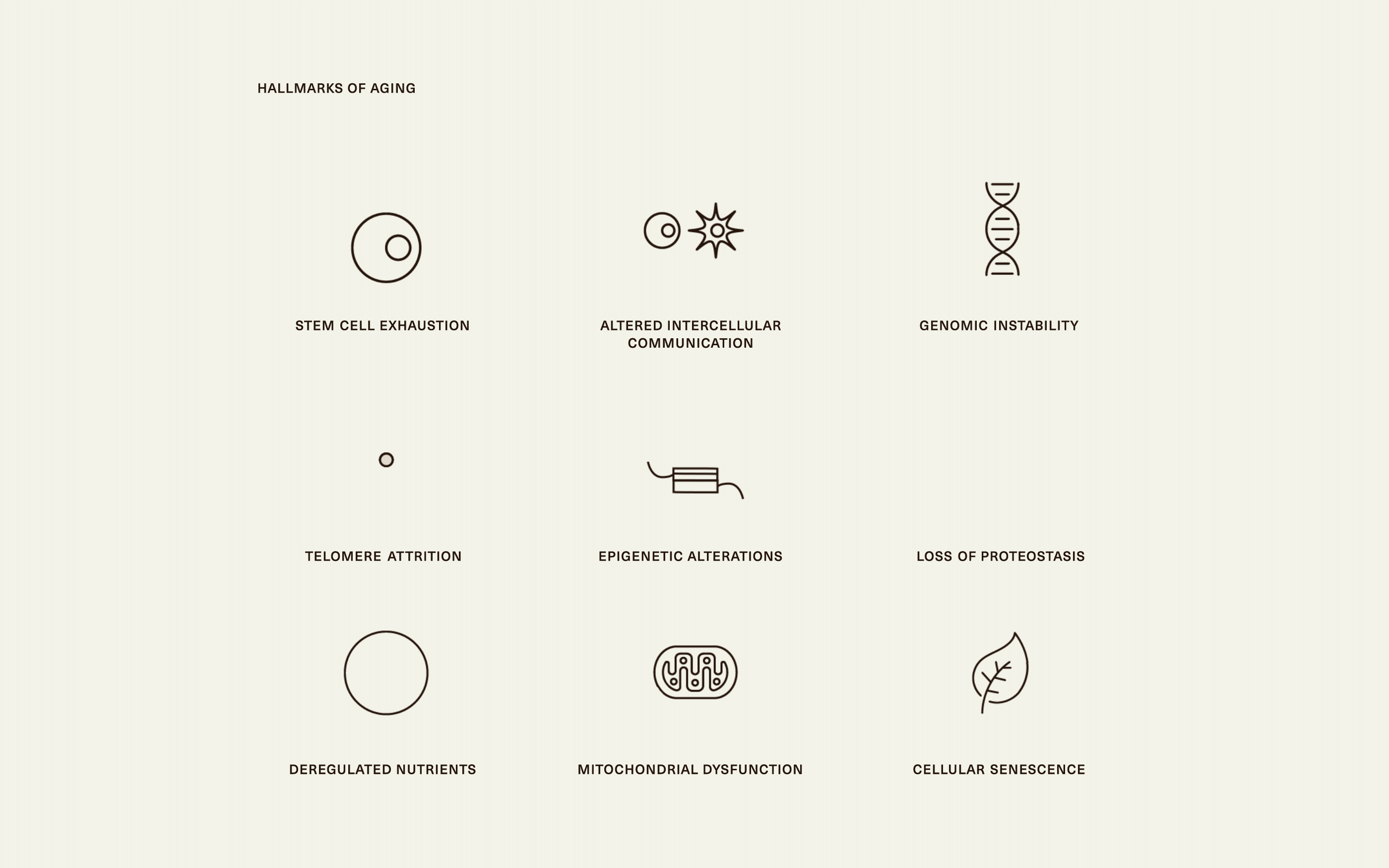 MLF_9icons_resize