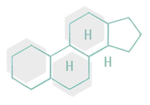 DHEA Molecular Structure