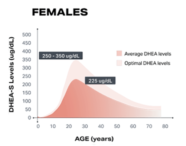 Female Dhea Levels overtime graph lifeforce