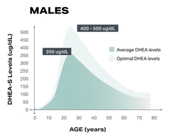 DHEA Levels in Men Graph Lifeforce