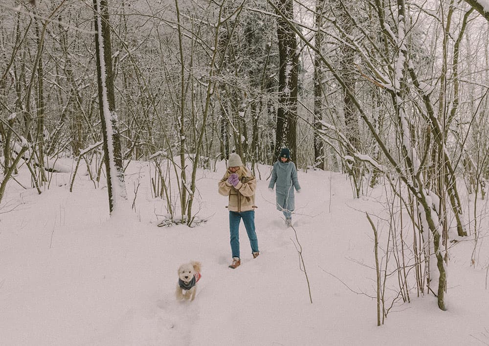 Seasonal Affective Disorder and How to Find Relief