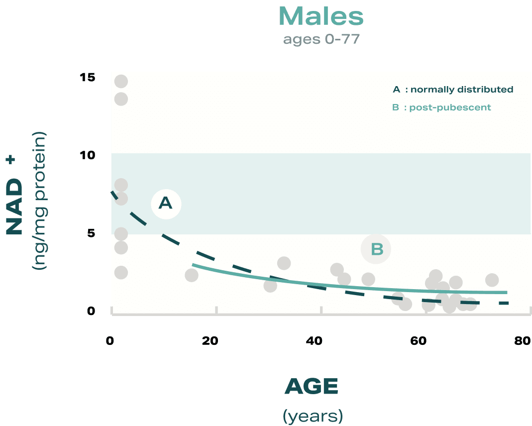 NAD+ MALE desktop Graph