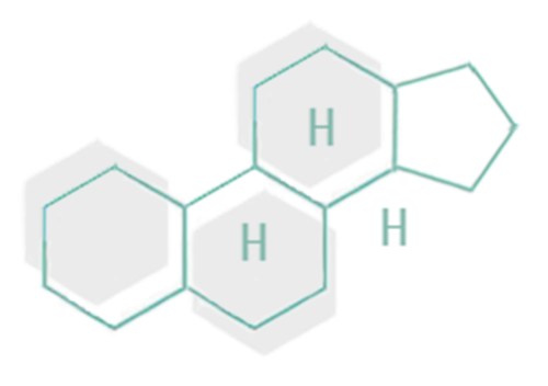 DHEA Molecular Structure