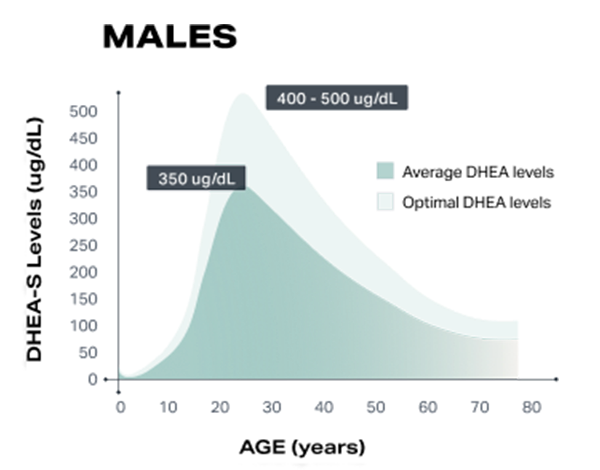 DHEA Levels in Men Graph Lifeforce