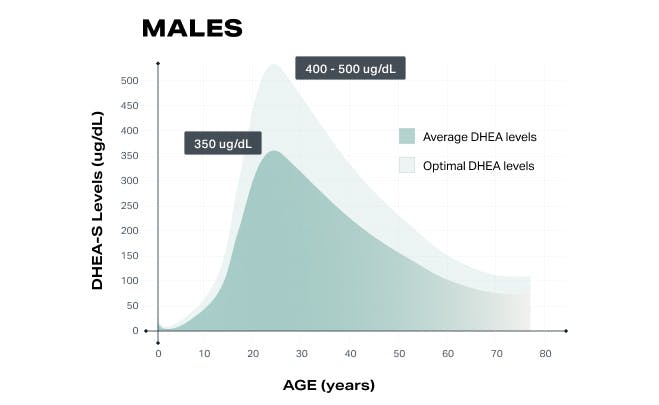 Male DHEA Levels Overtime Lifeforce