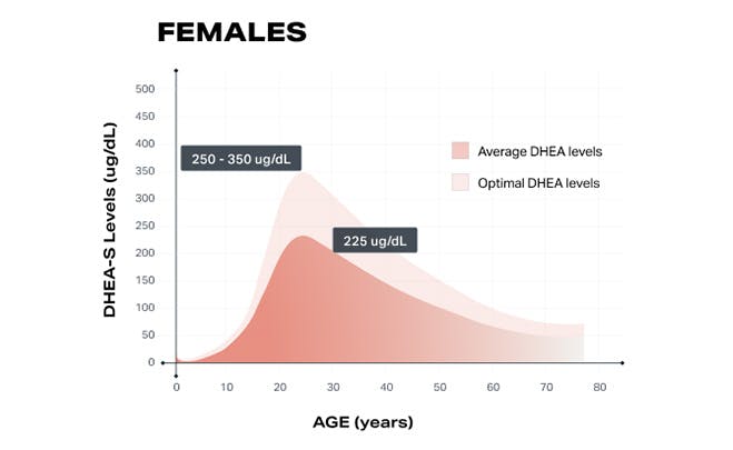 Female DHEA Levels Overtime Lifeforce